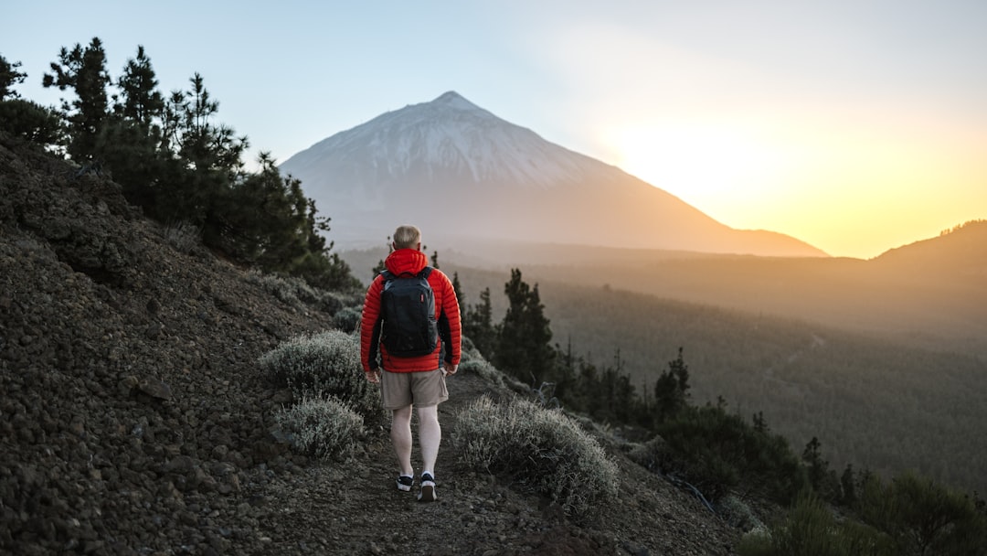 Mount Teide Volcano Trek