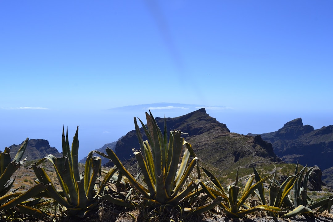 Tenerife on a Budget: 10 Amazing Free Things to Do on the Island