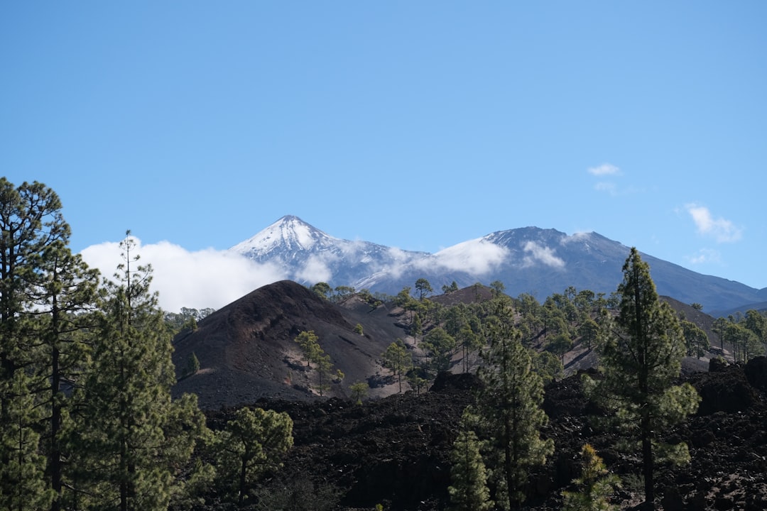 How to Visit Mount Teide Without a Car (The Smart Traveler's Guide)